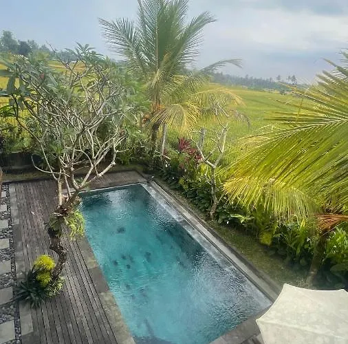 Bayad Anyar - Bali *